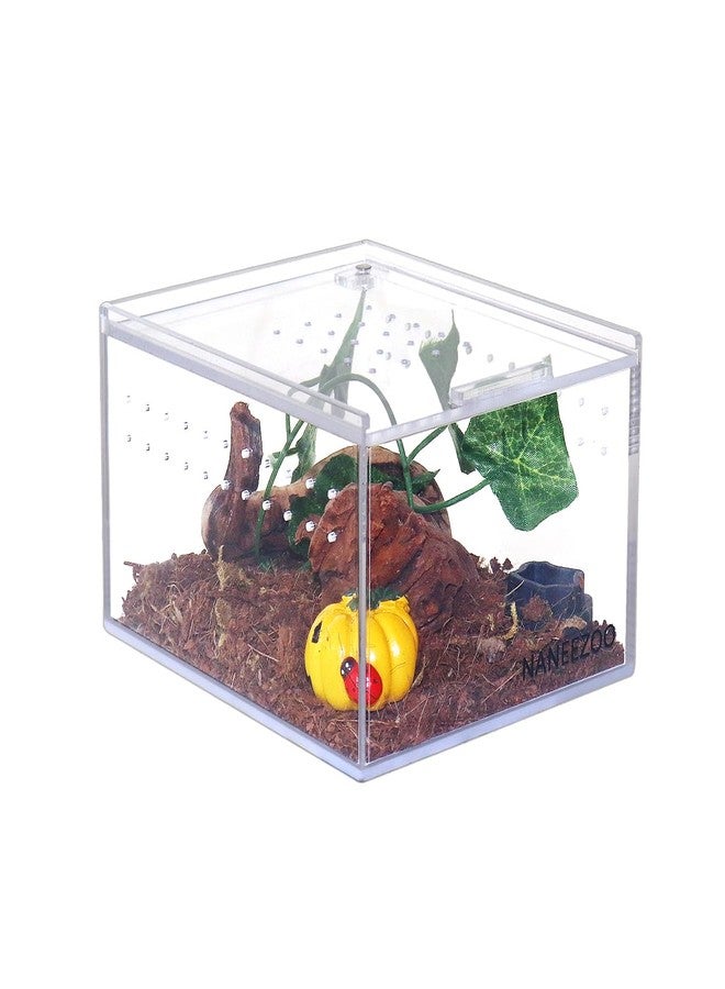 NANEEZOO Acrylic Reptile Breeding Box, 5x4x3 Inch Nano Flat/Long Enclosure Transparent Reptile Breeding Box Terrarium Cage Tank for Tarantula Scorpion Sling Isopods Invertebrates Insect Mantis - Image 1
